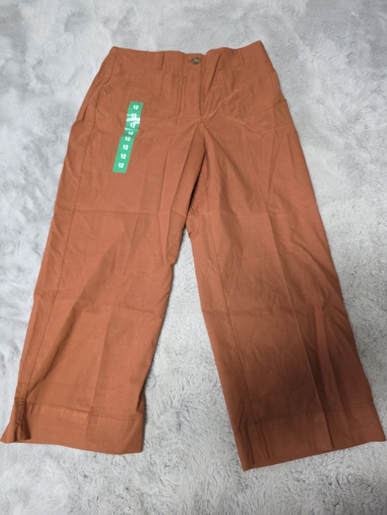 Hilary Radley Pants - NWT Hilary Radley Rust Cropped Wide-Leg Pants